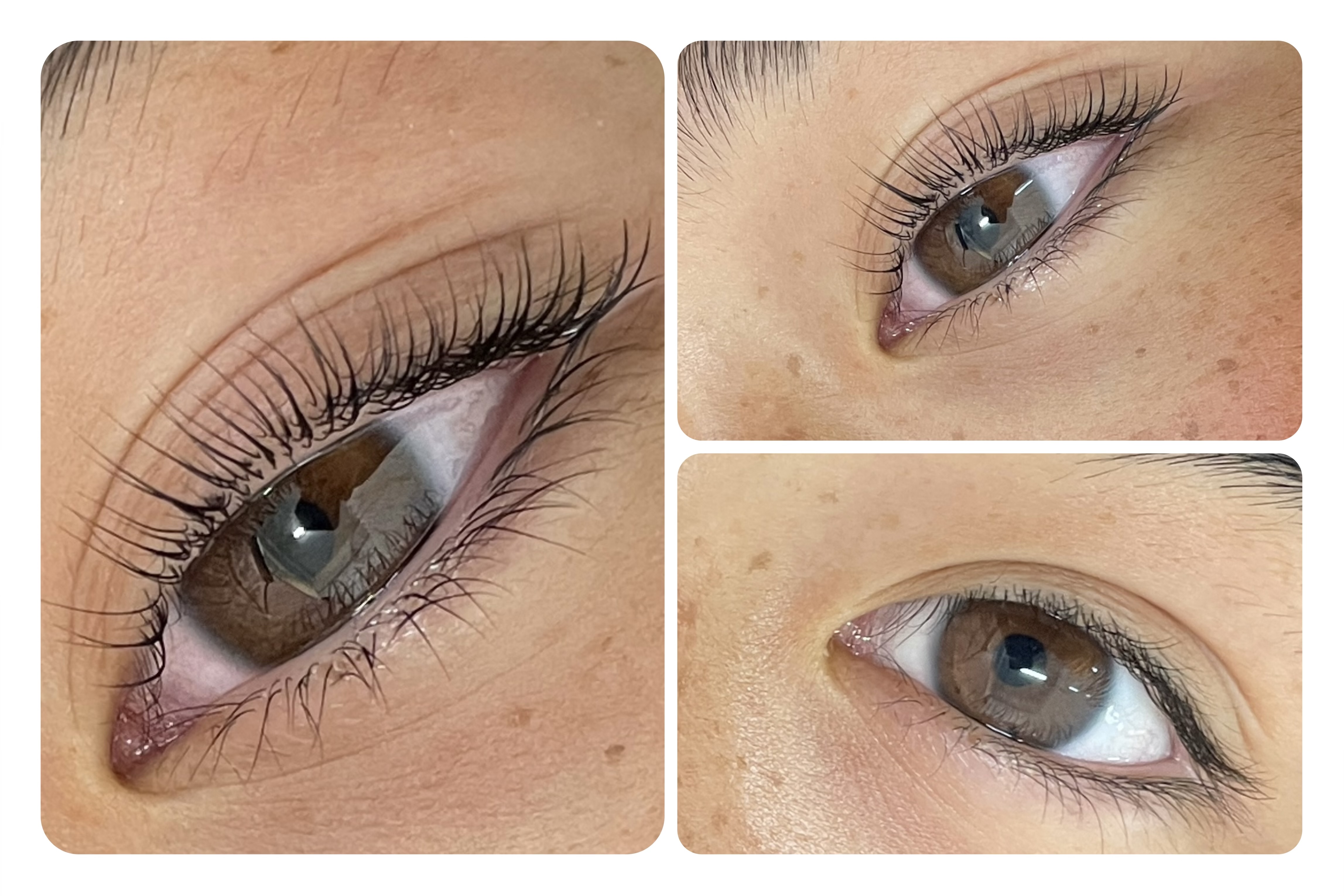 Lash and brow
